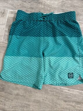 Abercrombie Ombre Swim Shorts